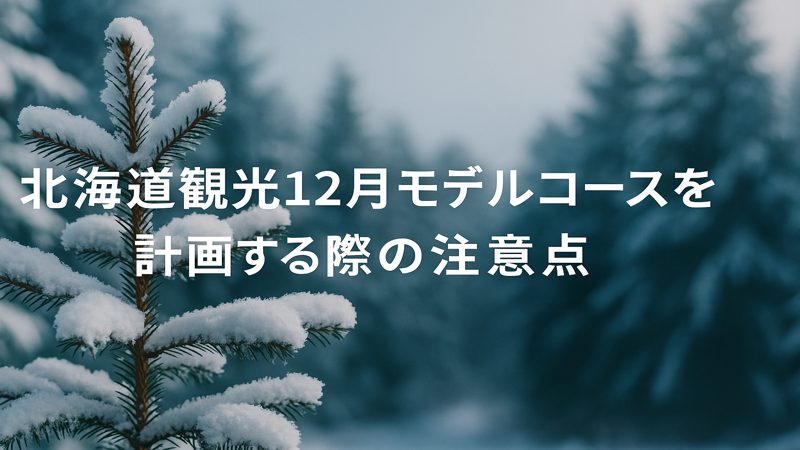 北海道観光12月モデルコースを計画する際の注意点_圧縮版